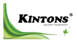 Kintons