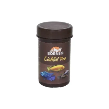 Cichlid pro food