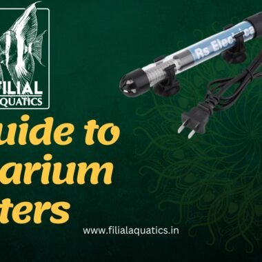 Maintaining Optimal Water Temperatures: A Guide to Aquarium Heaters