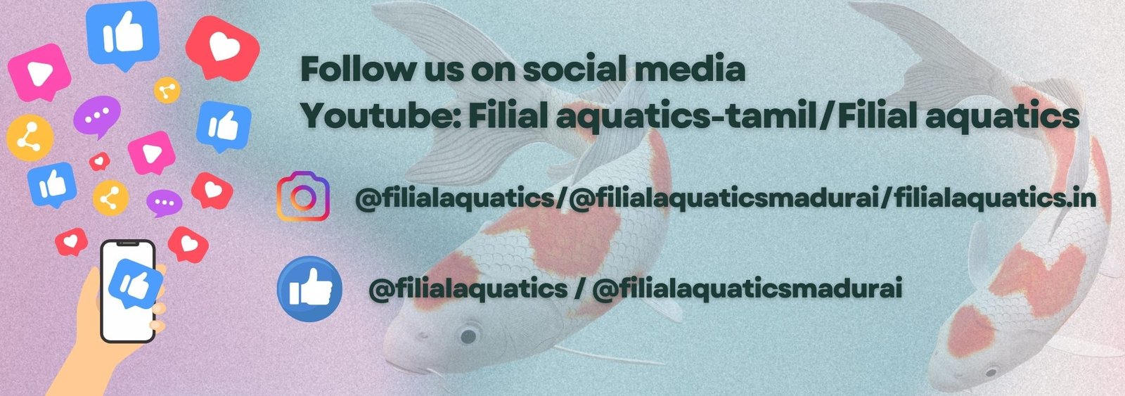 Follow us on social media Youtube Filial aquatics-tamilfilial aquatics